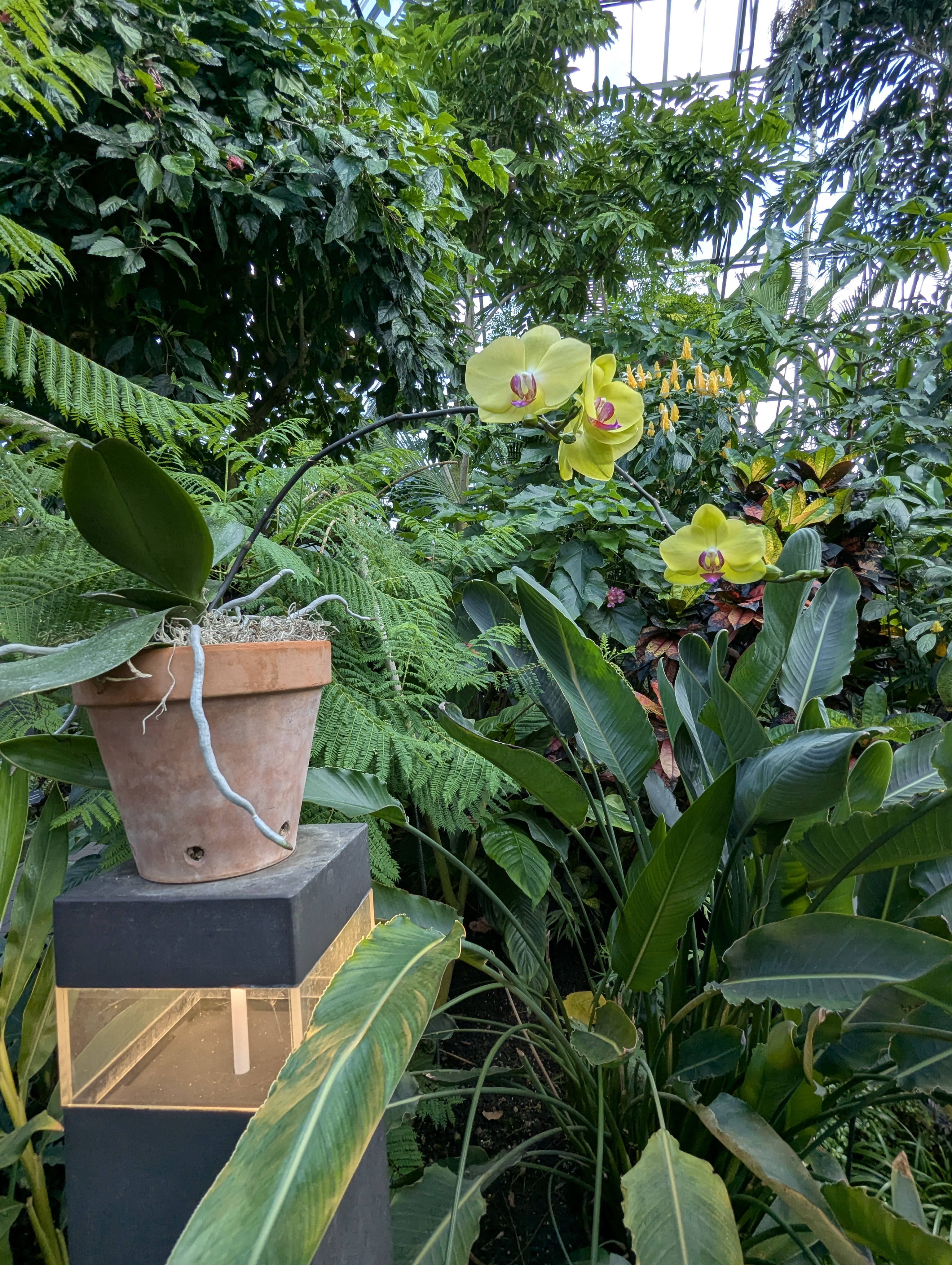 Birthday Trip to Canada, Edmonton, Pyramids, Muttart Observatory